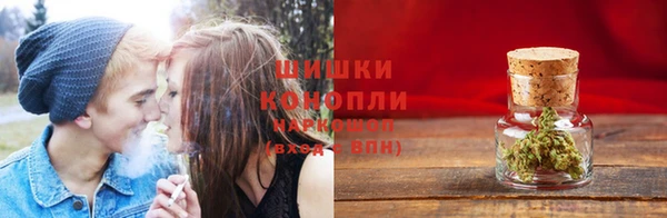 дмт Алзамай