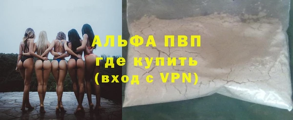 твердый Абаза