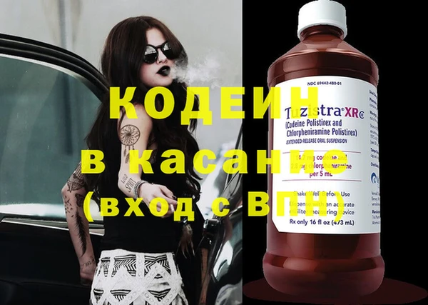дмт Алзамай