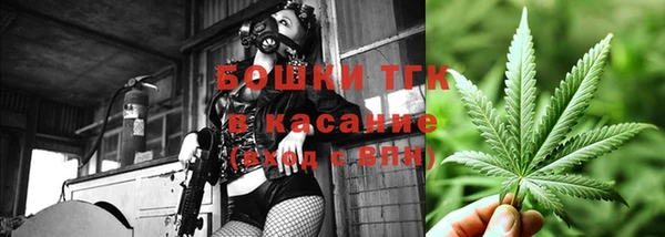 прущие грибы Алексин